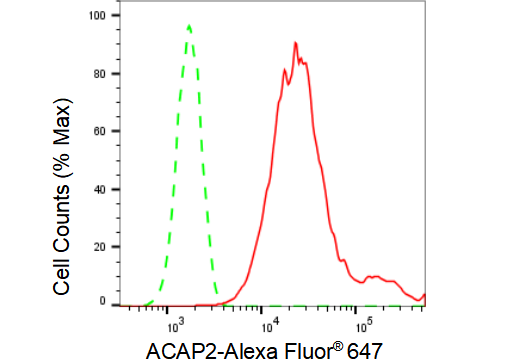 ABCB1 antibody
