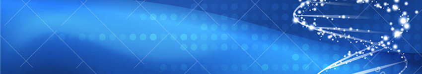 LiScript™ Reverse Transcription Kits