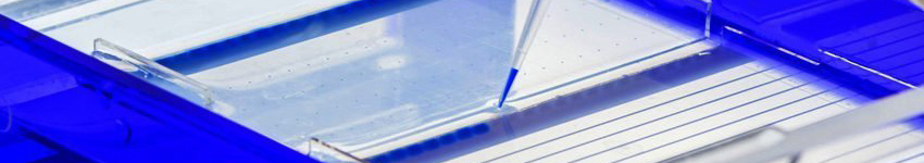 LiPure™ Genomic Extraction Kits