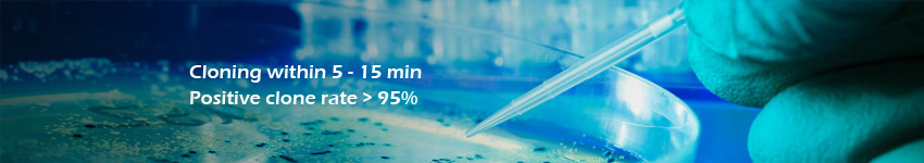 DNA Assembly & Cloning Kits