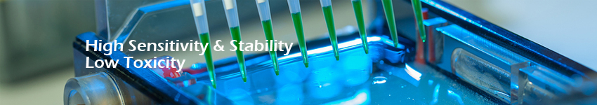 LiPure™ DNA Clean-up Kits