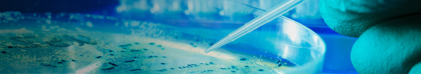 Mammalian Cell Protein Expression