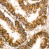 KO-Validated Integrin alpha 2 (ITGA2/CD49b) Rabbit mAb (20 μl)