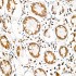 KD-Validated SRP72 Rabbit mAb (20 μl)