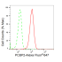 KD-Validated PCBP2 Rabbit mAb (20 μl)