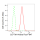 KD-Validated CLPTM1 Rabbit mAb (20 μl)