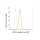 KD-Validated AP2S1 Rabbit mAb (20 μl)