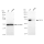 KD-Validated PRKCD Rabbit mAb (20 μl)