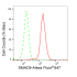 KD-Validated SMAD5 Rabbit mAb (20 μl)
