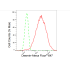 KD-Validated DES Rabbit mAb (20 μl)