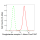 KD-Validated OXGR1 Rabbit mAb (20 μl)