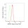 KD-Validated MCM7 Rabbit mAb (20 μl)