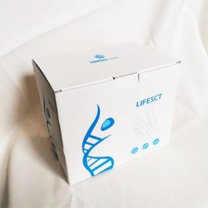 LiFluor™ 488 TUNEL Apoptosis Detection Kit (50 assays)