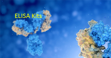 elisa kits
