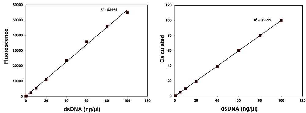 1X dsDNA br assay kit