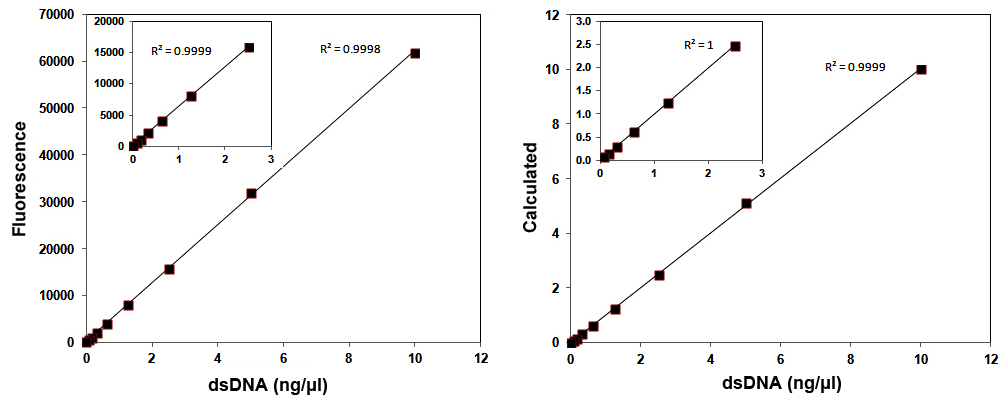 1X dsDNA hs assay kit
