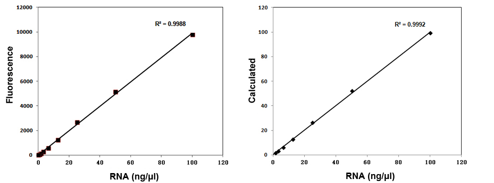 RNA BR Assay Kit