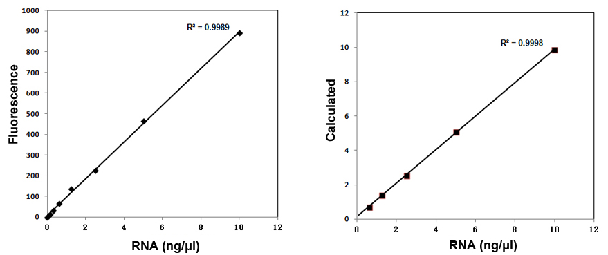 RNA HS Assay Kit