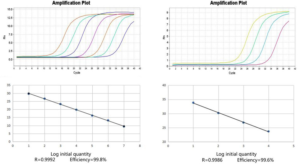 cDNA Synthesis Kit