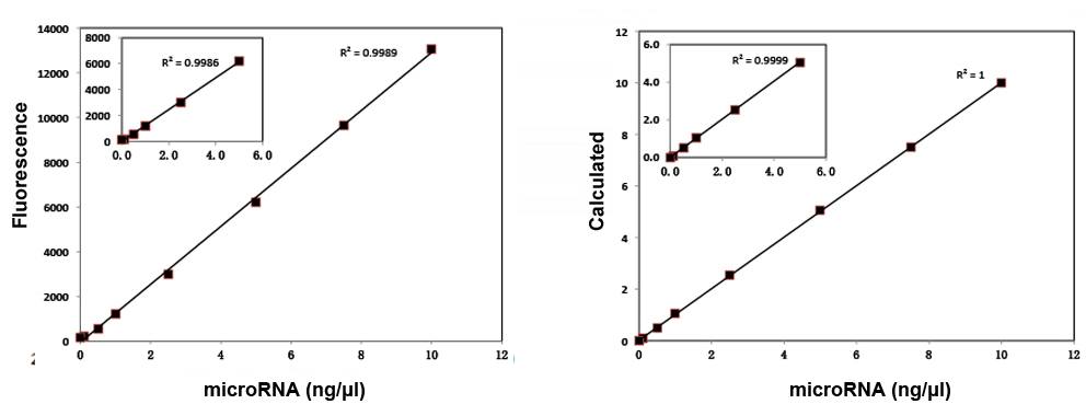 microrna Assay Kit