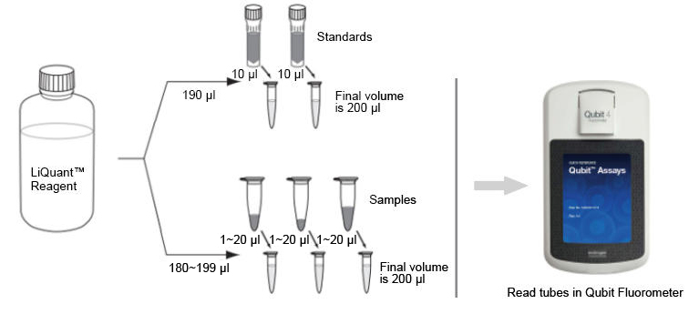 qubit 1x dsdna br assay kit