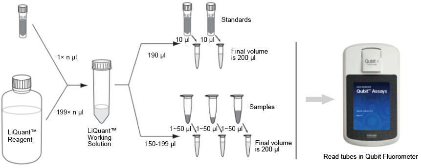 qubit dsdna hs assay kit