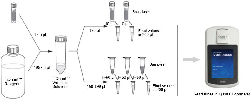 qubit rna hs assay kit